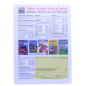 Preview: Teenage Mutant Hero Turtles Comic Magazin Nr. 16 (Condor, 1992) – Auf der Flucht!